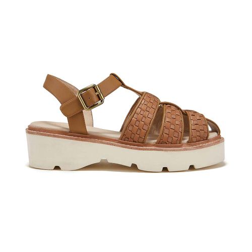 Ahearty ($235)
