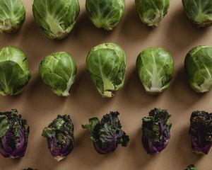 Folic Acid Foods