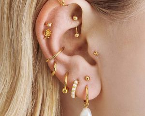 Studs' earscape