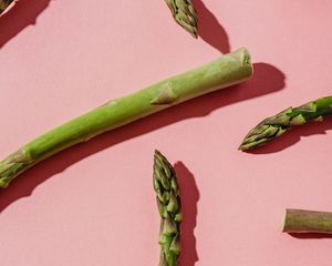 asparagus root