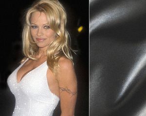 Pamela Anderson