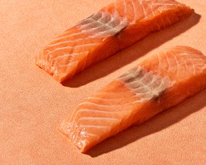 salmon