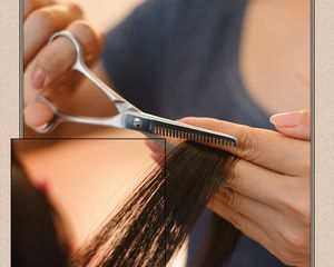 Shears